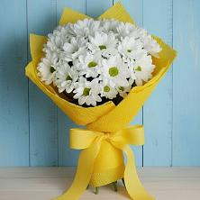 Букет цветов из:  Хризантемы в Конобеево