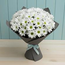 Букет цветов из:  Хризантемы в Конобеево